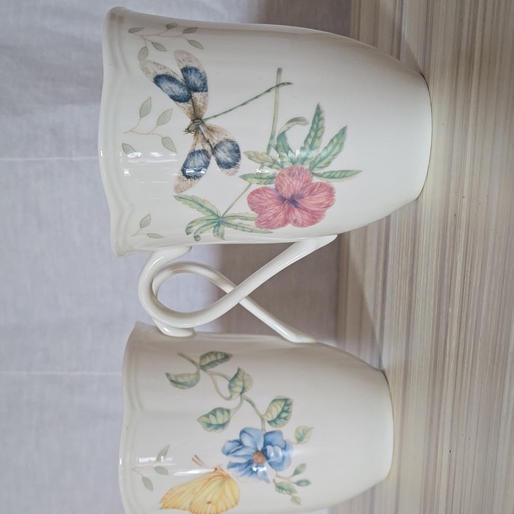 Lenex Setvof 2 Dagoonglfly Mugs